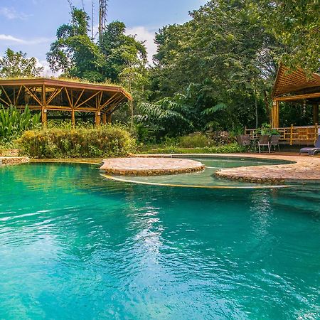 Banana Bamboo Ecolodge Ubatuba Eksteriør billede