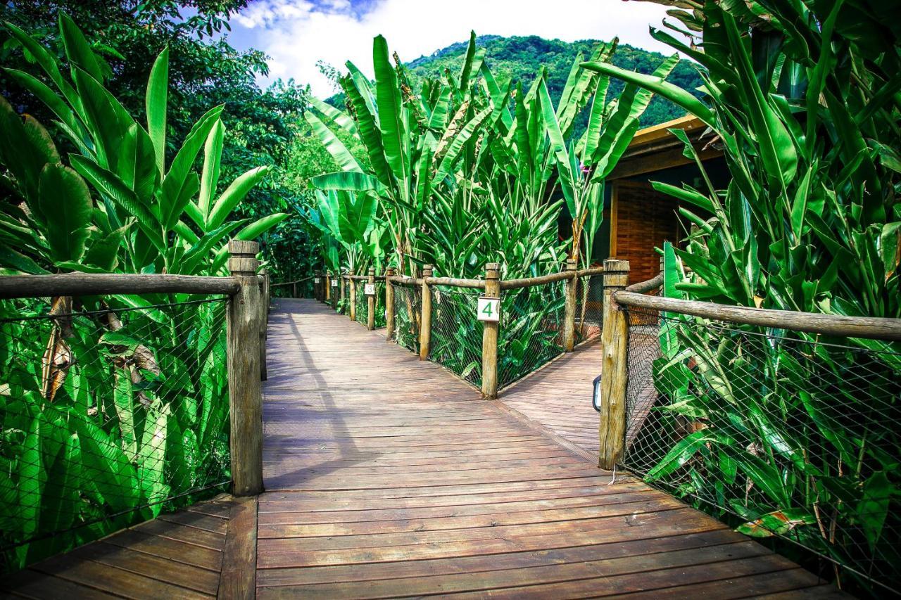 Banana Bamboo Ecolodge Ubatuba Eksteriør billede