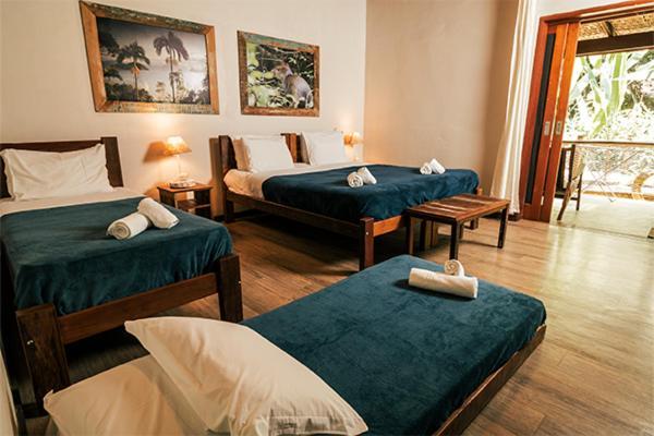 Banana Bamboo Ecolodge Ubatuba Eksteriør billede